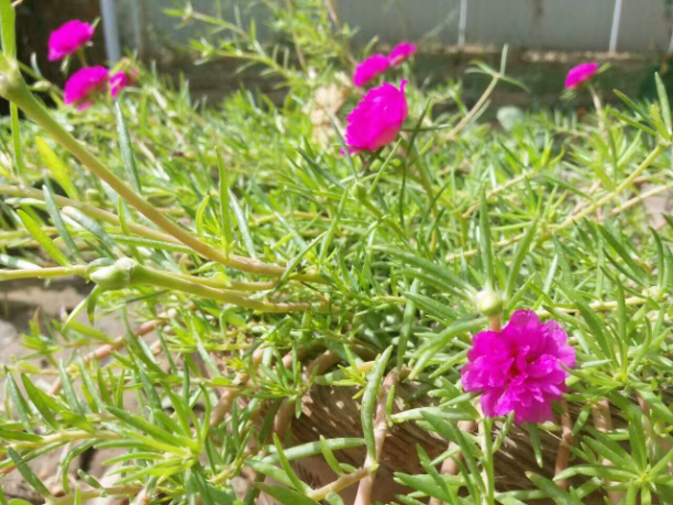 圖片12.png 圖片12.png