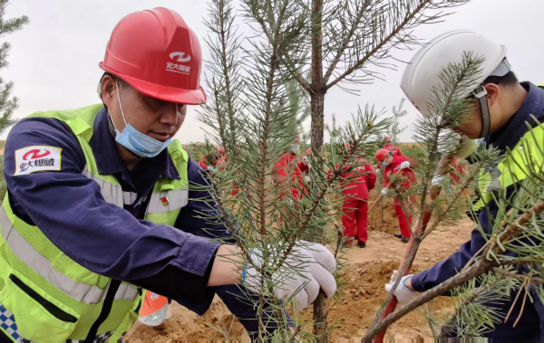 3 (自定義).png 3 (自定義).png